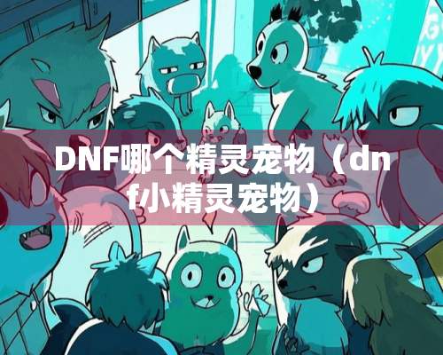 DNF哪个精灵宠物（dnf小精灵宠物）