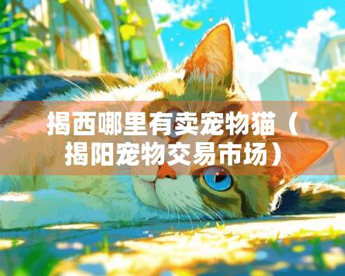 揭西哪里有卖宠物猫（揭阳宠物交易市场）