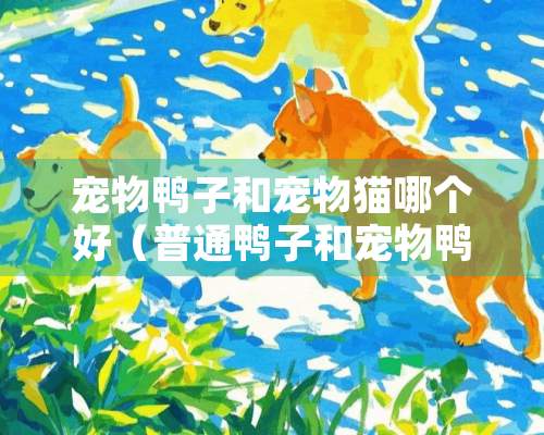 宠物鸭子和宠物猫哪个好（普通鸭子和宠物鸭子的区别）