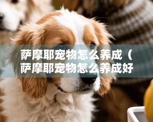 萨摩耶宠物怎么养成（萨摩耶宠物怎么养成好看）