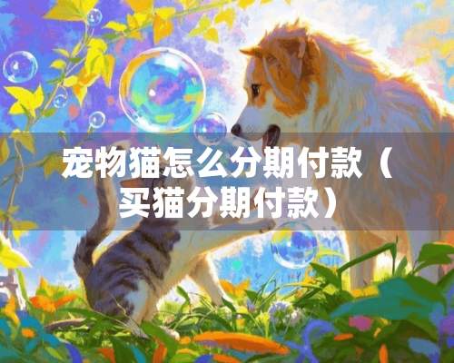 宠物猫怎么分期付款（买猫分期付款）