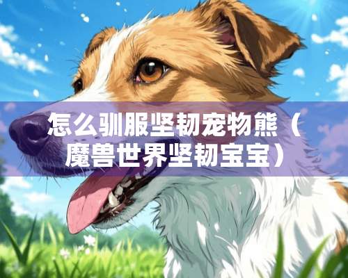 怎么驯服坚韧宠物熊（魔兽世界坚韧宝宝）