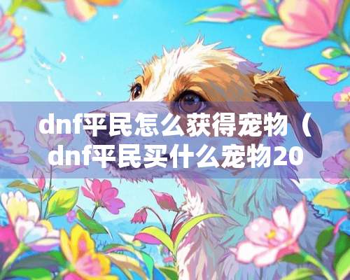 dnf平民怎么获得宠物（dnf平民买什么宠物2020）