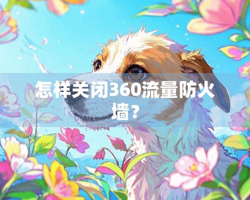 怎样关闭360流量防火墙？