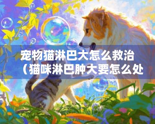 宠物猫淋巴大怎么救治（猫咪淋巴肿大要怎么处理）