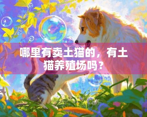 哪里有卖土猫的，有土猫养殖场吗？