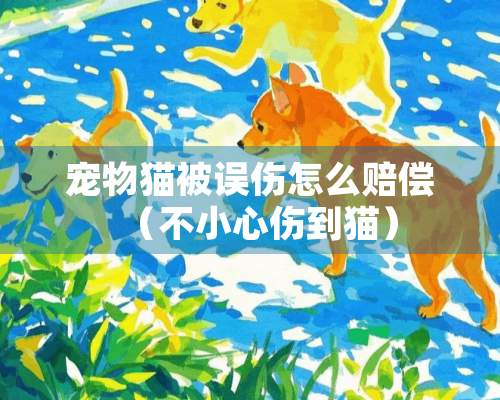 宠物猫被误伤怎么赔偿（不小心伤到猫）