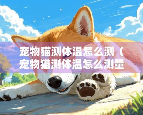 宠物猫测体温怎么测（宠物猫测体温怎么测量）