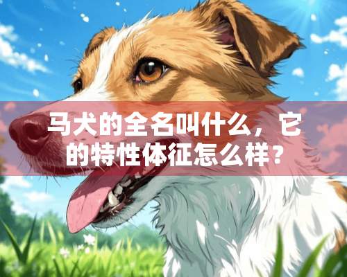 马犬的全名叫什么，它的特性体征怎么样？