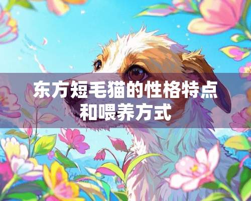 东方短毛猫的性格特点和喂养方式