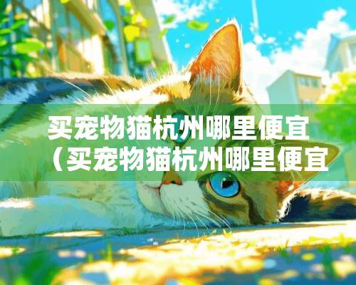 买宠物猫杭州哪里便宜（买宠物猫杭州哪里便宜点）