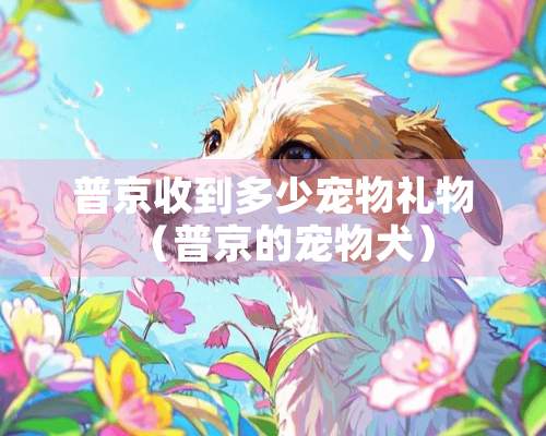 普京收到多少宠物礼物（普京的宠物犬）