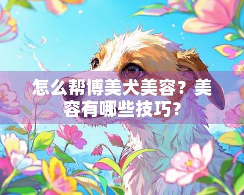 怎么帮博美犬美容？美容有哪些技巧？