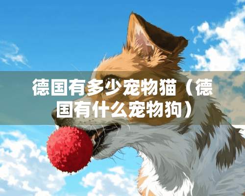 德国有多少宠物猫（德国有什么宠物狗）