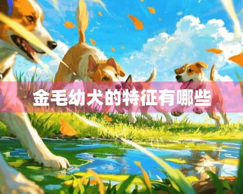 金毛幼犬的特征有哪些