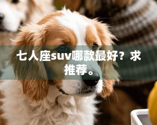 七人座suv哪款最好？求推荐。