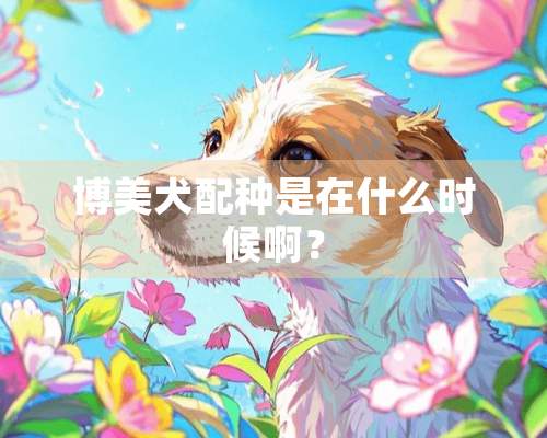 博美犬配种是在什么时候啊？