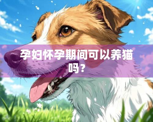 孕妇怀孕期间可以养猫吗？