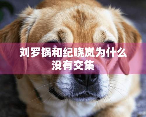 刘罗锅和纪晓岚为什么没有交集