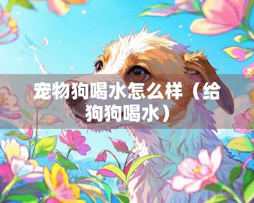 宠物狗喝水怎么样（给狗狗喝水）