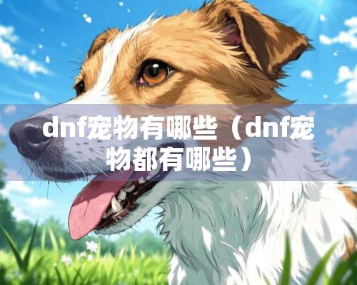 dnf宠物有哪些（dnf宠物都有哪些）