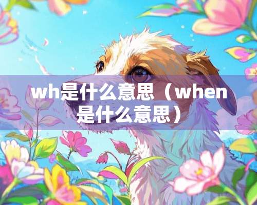 wh是什么意思（when是什么意思）