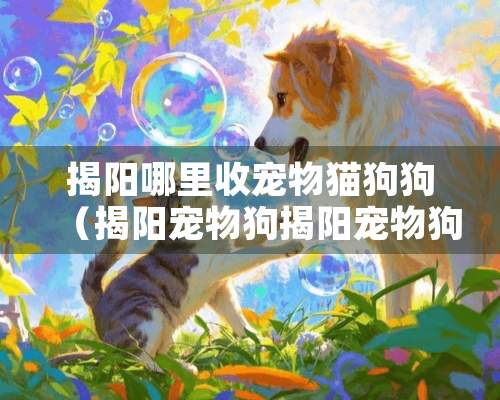 揭阳哪里收宠物猫狗狗（揭阳宠物狗揭阳宠物狗信息）