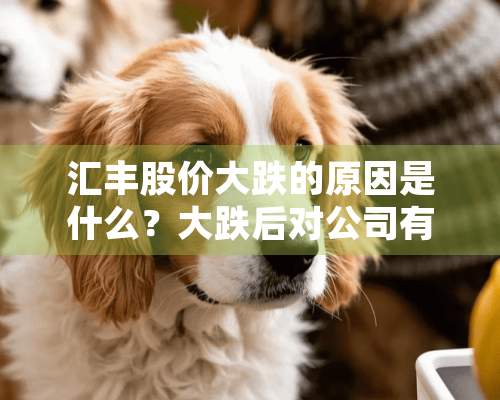 汇丰股价大跌的原因是什么？大跌后对公司有何影响？