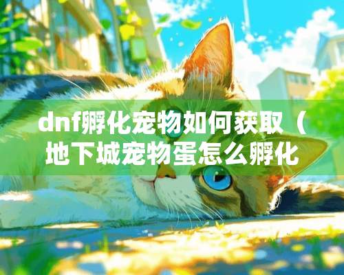 dnf孵化宠物如何获取（地下城宠物蛋怎么孵化）