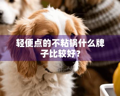 轻便点的不粘锅什么牌子比较好？