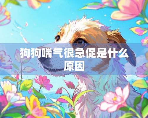 狗狗喘气很急促是什么原因