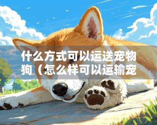 什么方式可以运送宠物狗（怎么样可以运输宠物）