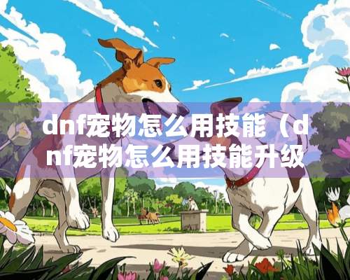 dnf宠物怎么用技能（dnf宠物怎么用技能升级）