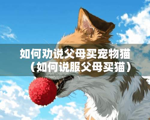 如何劝说父母买宠物猫（如何说服父母买猫）