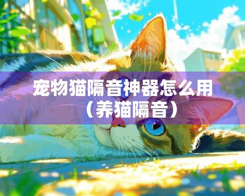 宠物猫隔音神器怎么用（养猫隔音）