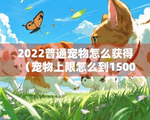 2022普通宠物怎么获得（宠物上限怎么到1500）