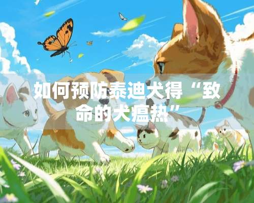 如何预防泰迪犬得“致命的犬瘟热”