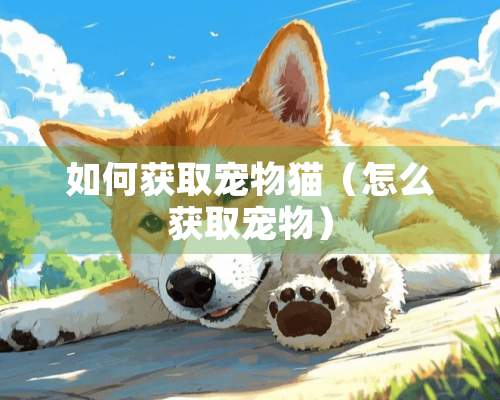 如何获取宠物猫（怎么获取宠物）