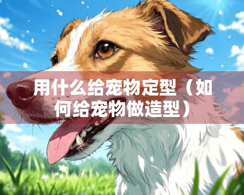 用什么给宠物定型（如何给宠物做造型）