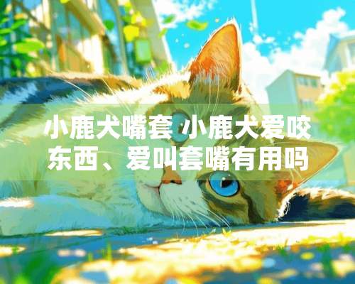 小鹿犬嘴套 小鹿犬爱咬东西、爱叫套嘴有用吗？