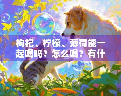 枸杞、柠檬、薄荷能一起喝吗？怎么喝？有什么效果？