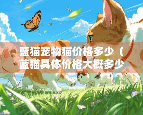 蓝猫宠物猫价格多少（蓝猫具体价格大概多少啊）