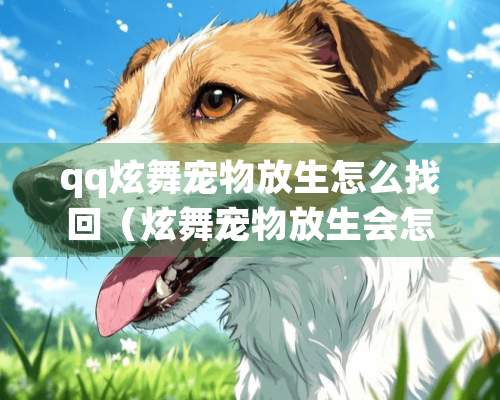 qq炫舞宠物放生怎么找回（炫舞宠物放生会怎样）