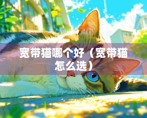 宽带猫哪个好（宽带猫怎么选）