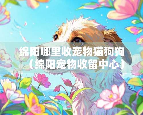 绵阳哪里收宠物猫狗狗（绵阳宠物收留中心）