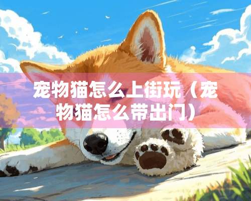 宠物猫怎么上街玩（宠物猫怎么带出门）