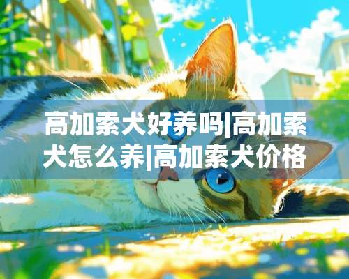 高加索犬好养吗|高加索犬怎么养|高加索犬价格|高加索犬多少钱~~！