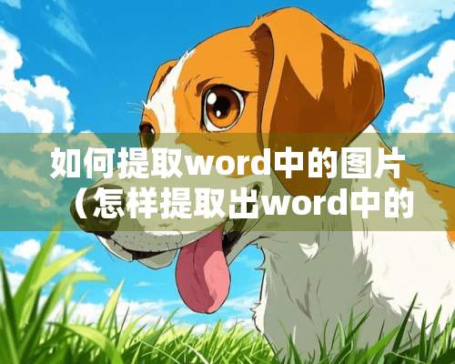 如何提取word中的图片（怎样提取出word中的图片提取）