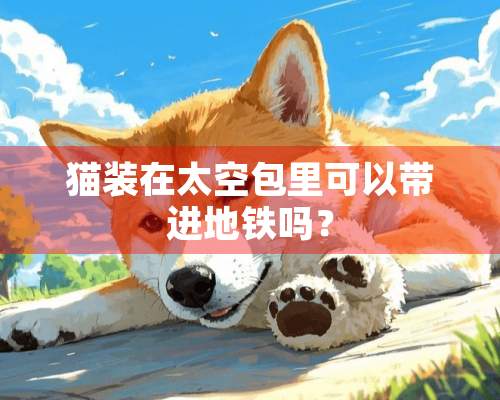 猫装在太空包里可以带进地铁吗？