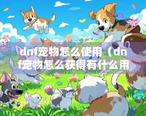 dnf宠物怎么使用（dnf宠物怎么获得有什么用）